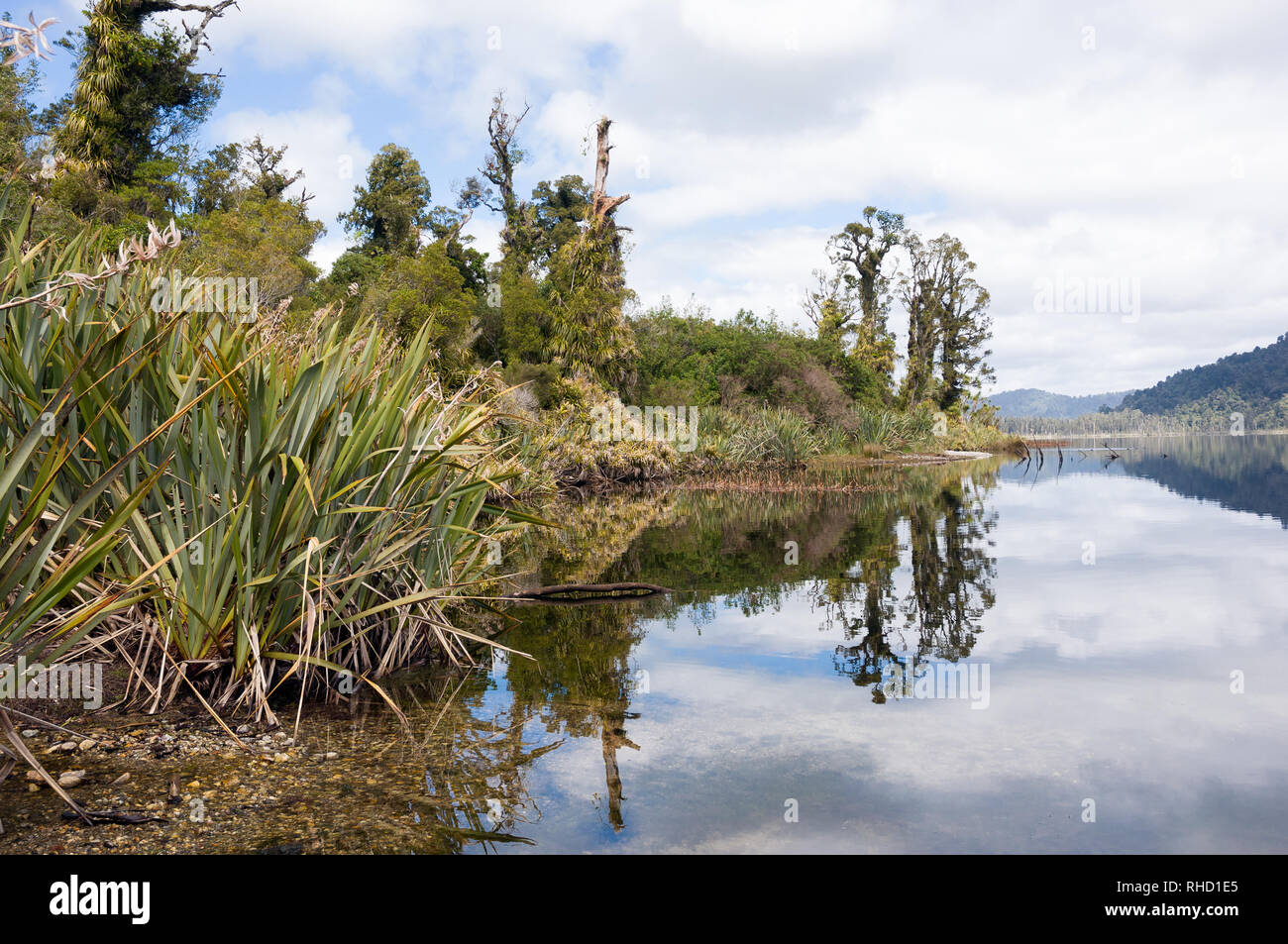 New Zealand lake South Island Stock Photo - Alamy
