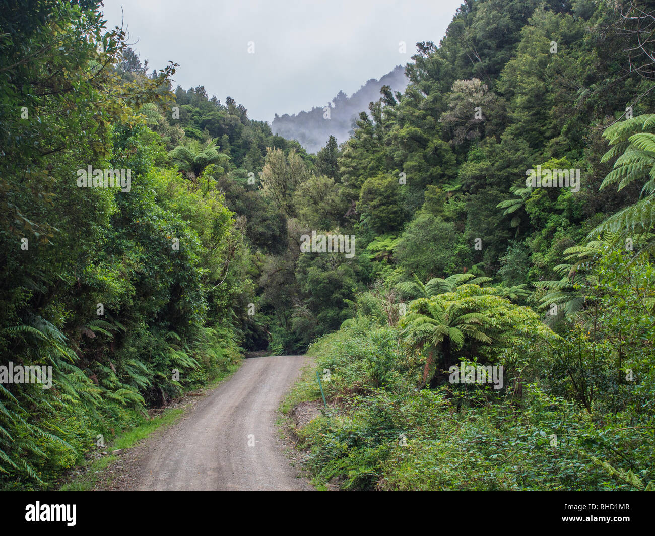 Bay of plenty new zealand hires stock photography and images Alamy