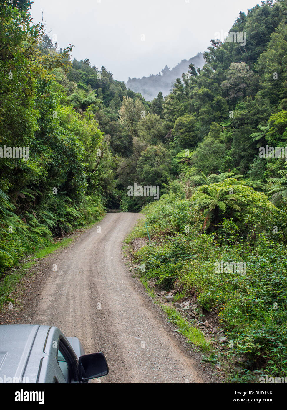 Vehicle on Unsealed gravel road through lowland forest bush into the