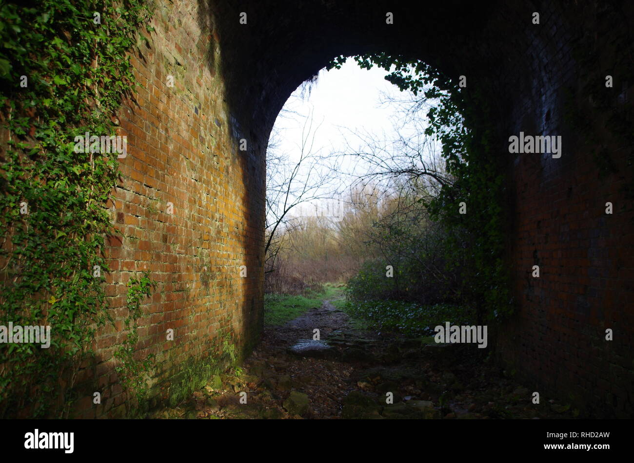 Maiden Newton, Dorset Stock Photos & Maiden Newton, Dorset Stock Images