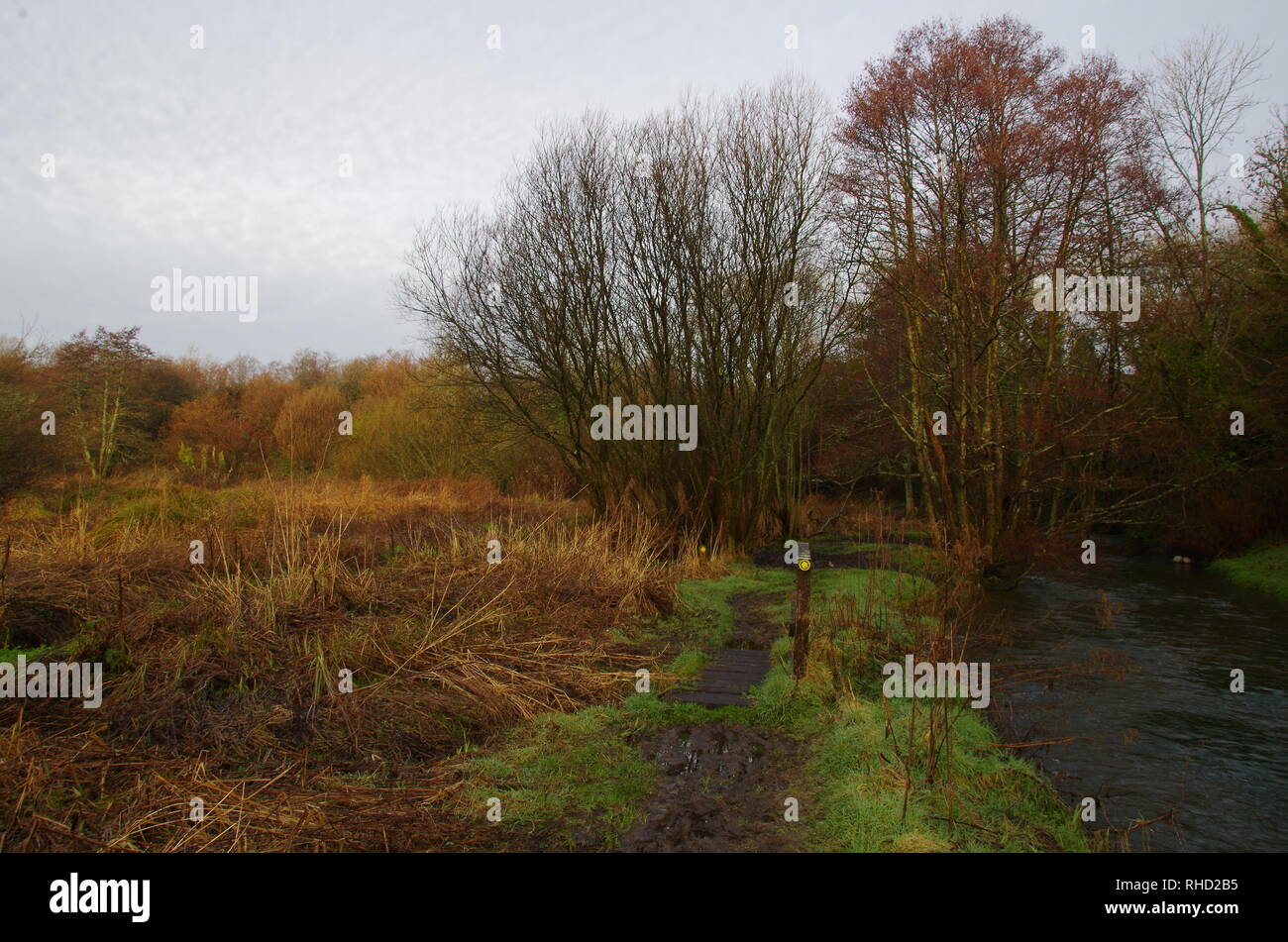 Maiden Newton. The Macmillan Way. Longdistance trail. Dorset. England