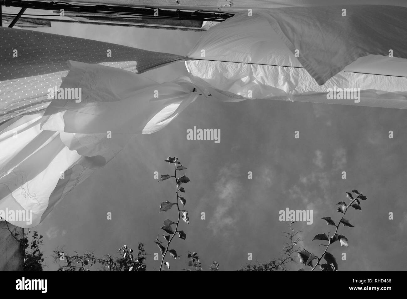 Pure white sheets hanging out to dry on a windy day on a washing line