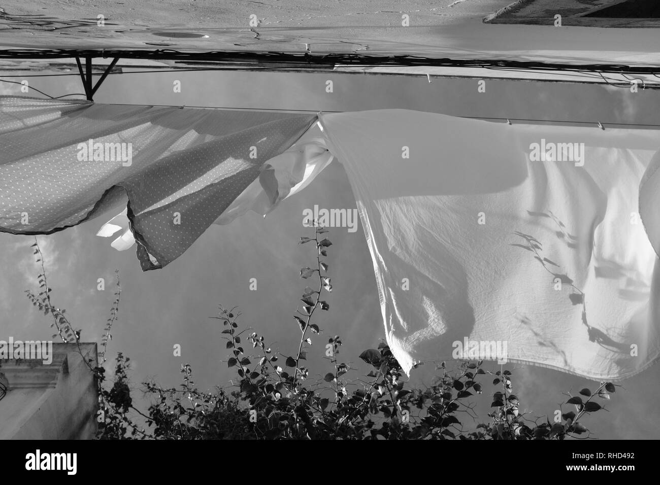 Pure white sheets hanging out to dry on a windy day on a washing line Stock Photo Alamy