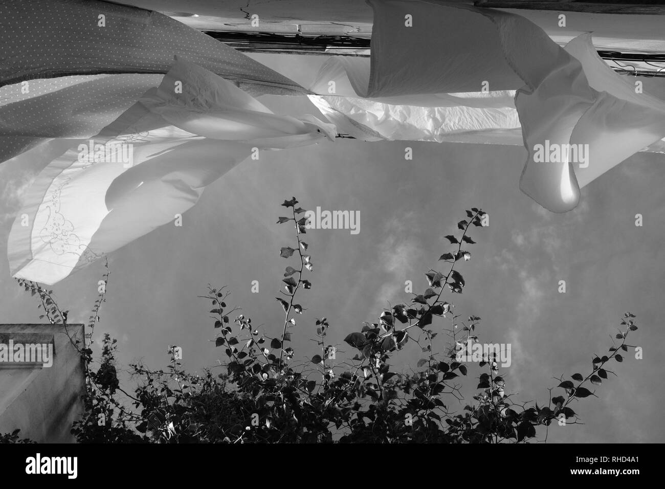 White sheets, clothesline Black and White Stock Photos & Images Alamy