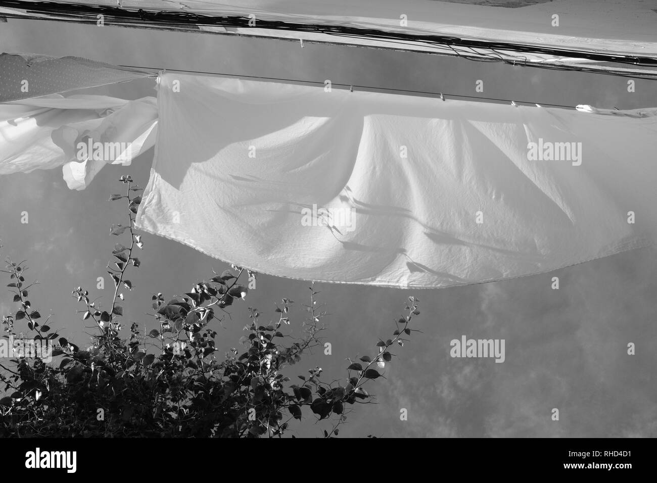 Pure white sheets hanging out to dry on a windy day on a washing line Stock Photo