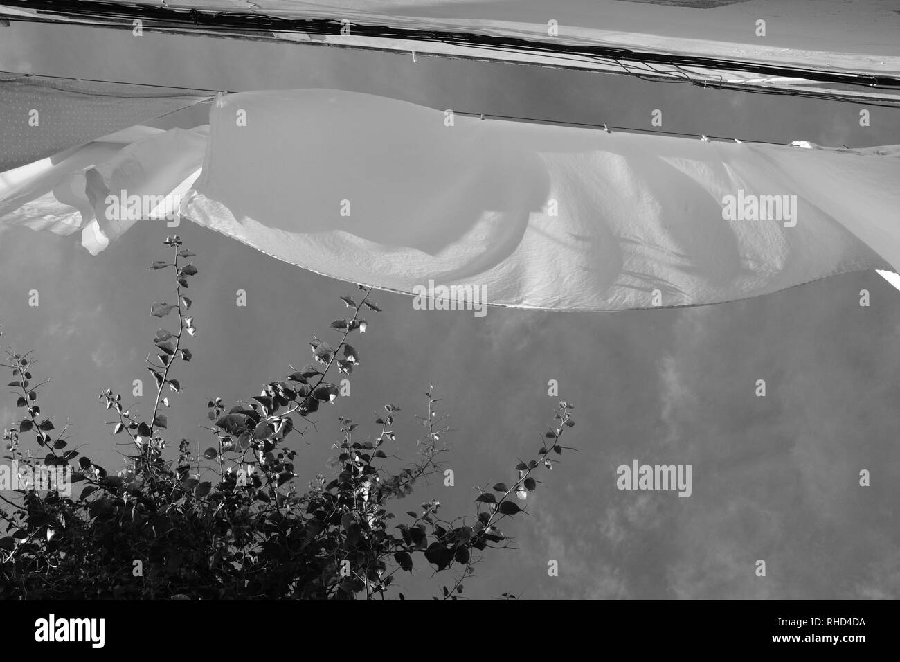 White Sheets Clothesline Stock Photos & White Sheets Clothesline Stock