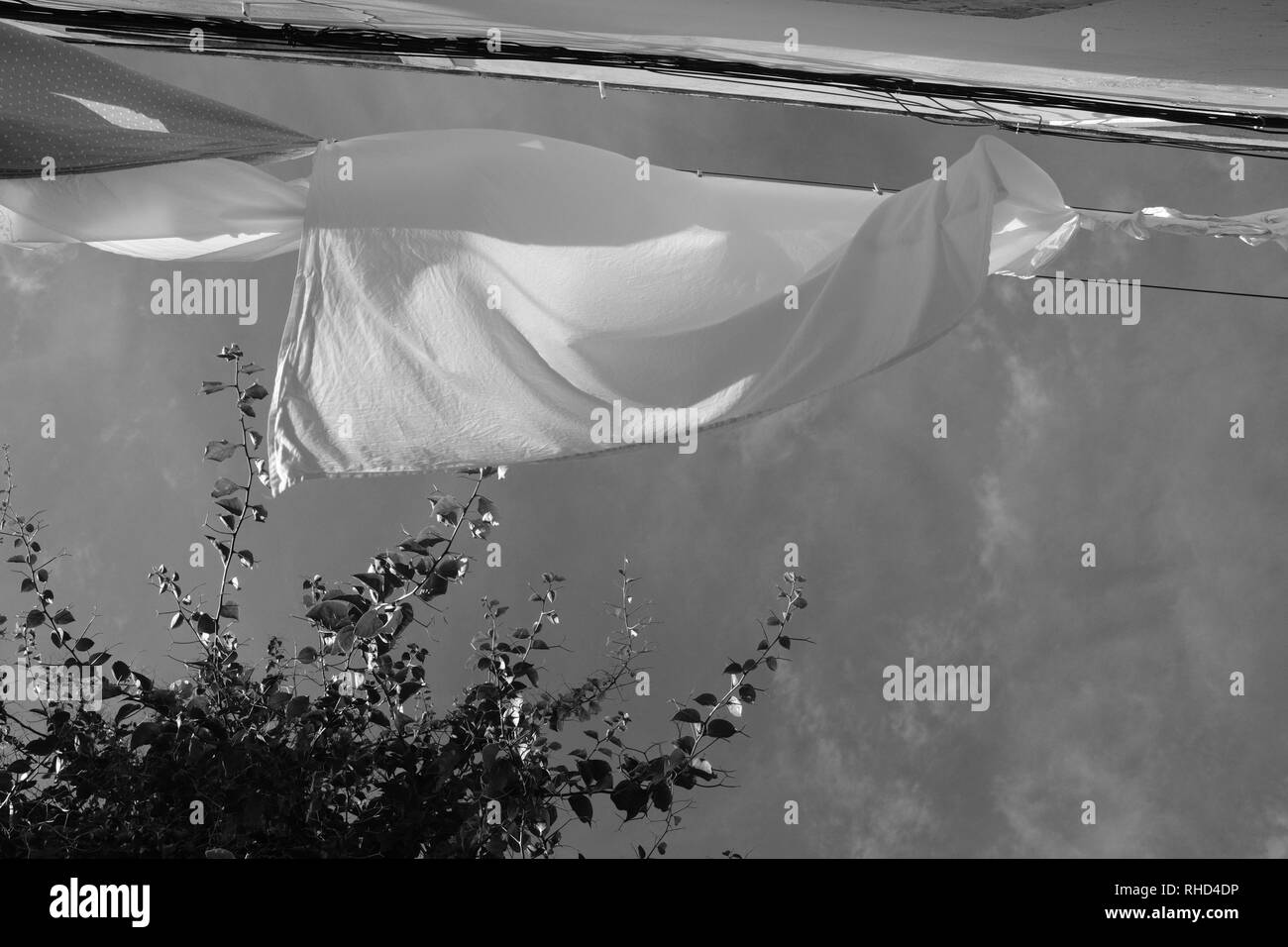 Pure white sheets hanging out to dry on a windy day on a washing line Stock Photo