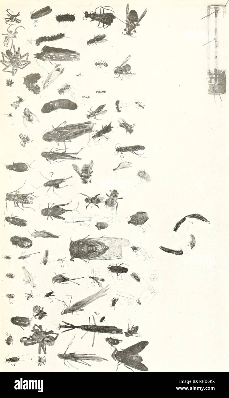 Page 2 J Marian High Resolution Stock Photography And Images Alamy