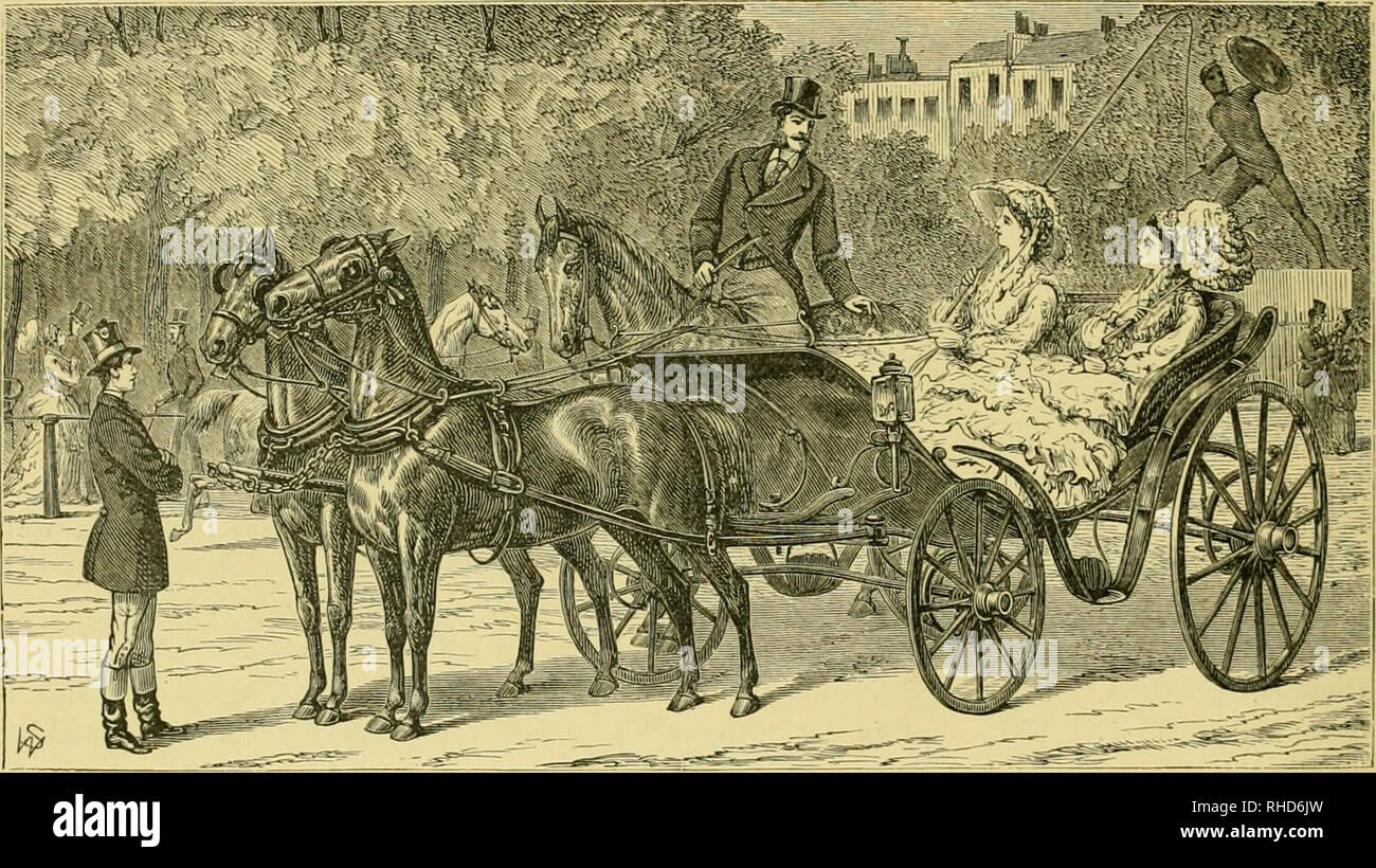 The Book Of The Horse Thorough Bred Half Bred Cart Bred