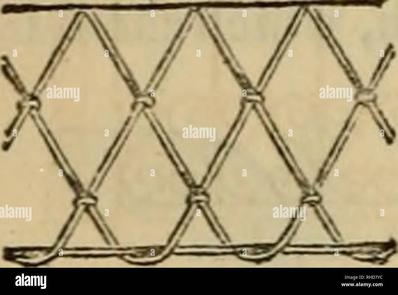 invisible chicken wire