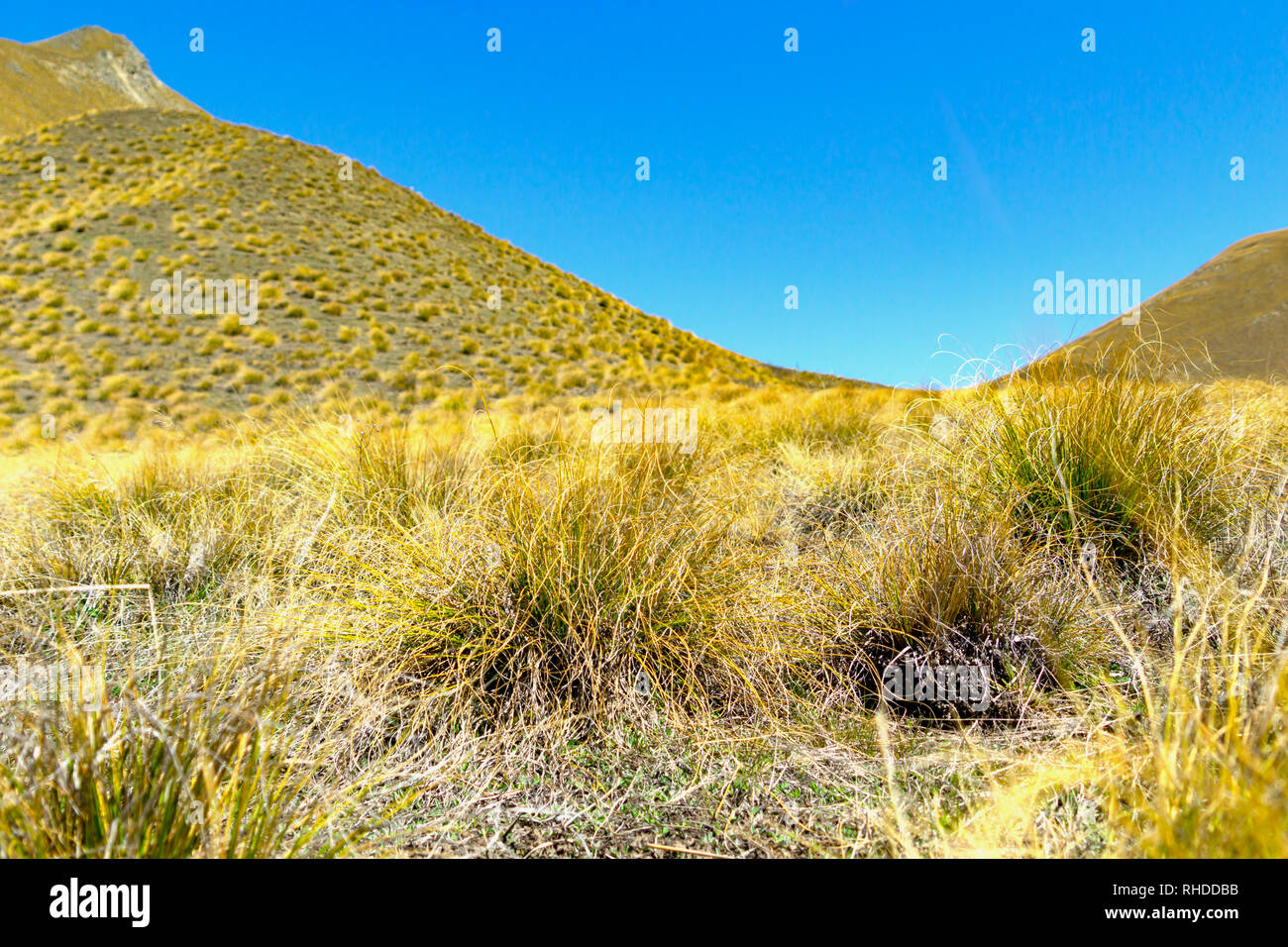 Lindis Pass landscape tussock covered hills Stock Photo