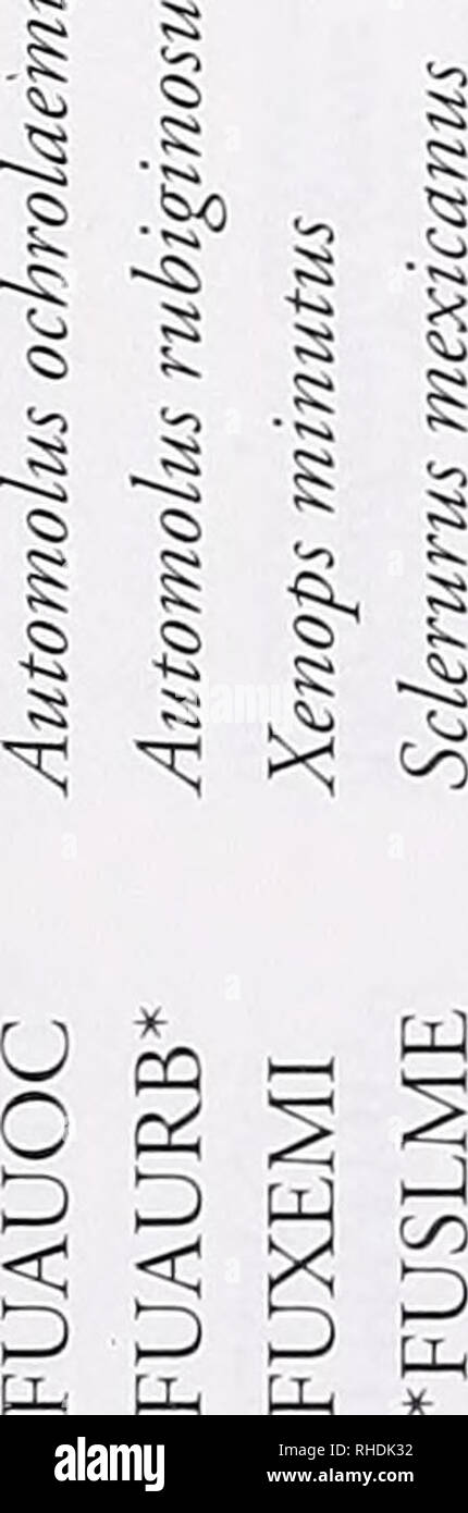 . Bonner zoologische Monographien. Zoology. Q xr xr OCnIW-NOOOOOOO^ ONNNNNNMW u u 5 U ^ CO t xP (N £30 oo  D (200: (200: (200: (200: a R&amp;G R&amp;G o cid Pi  D  D  D O O O O O O U. &lt;u U m ö K Id a I = » O, I4 « s ja s 23 Cri 111 Ii f -a -V =S -d o JJ s 1 b ü q Ph &lt; OO OO O Q :S ^ ^ ^ g S s s s ^ r- ^ U U pq pj pi) Q Q Q Q Q Q U U &quot; PL] 317. Please note that these images are extracted from scanned page images that may have been digitally enhanced for readability - coloration and appearance of these illustrations may not perfectly resemble the original work.. Bonn, Zoologisches Fo Stock Photo