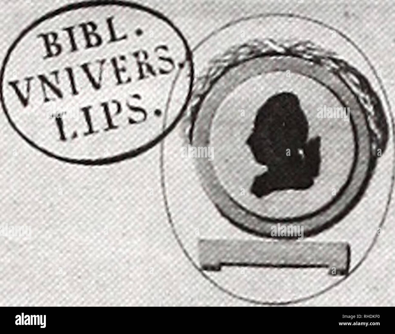 Bonn Zoological Bulletin Zoology 226 Aaron M Bauer Amp Richard Wahlgren I Index I Mvsaeilinckiani 0 T Gt C Furjcg Fi Jicmafifd Gt C Sbci Jcid Nif Btt Ipotncf Iufien Qtiide I A Aturauenfammfuns F I C I P