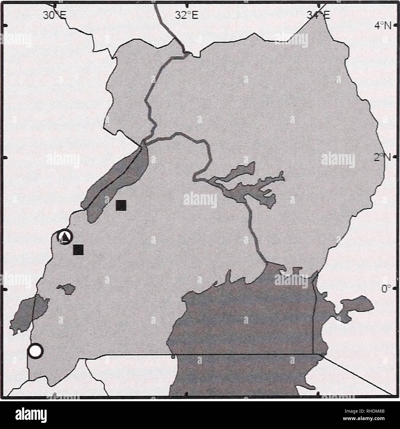 . Bonner zoologische Monographien. Zoology. THORN &amp; KERBIS PETERHANS, SMALL MAMMALS OF UGANDA Mt Elgon by V. Clausnitzer and P. Taylor of Durban (Clausnitzer 1999, also Taylor in litt.) &quot;hunting even on cold nights (belo^ 0° at ground) altitudes up to 4000 m.&quot; Bat detector recordings cotild not be identified. It is worthwhile noting that Yalden (1988) reported M. inflatus (= africanns?) up to 3280 m in Bale Moun- tains N P (Ethiopia). Miniopterus natalensis arenarius Vespertilio natalensis A. Smith 1833, S. Afr. J. 2: 59; Natal, S. Africa; Roberts (1951) designated Durban as Tv Stock Photo