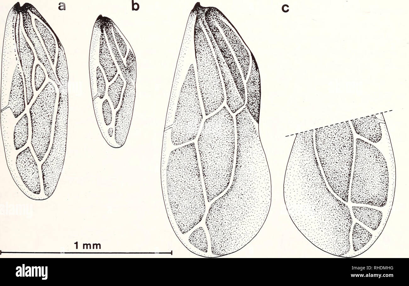 Formen tabelle hires stock photography and images Alamy