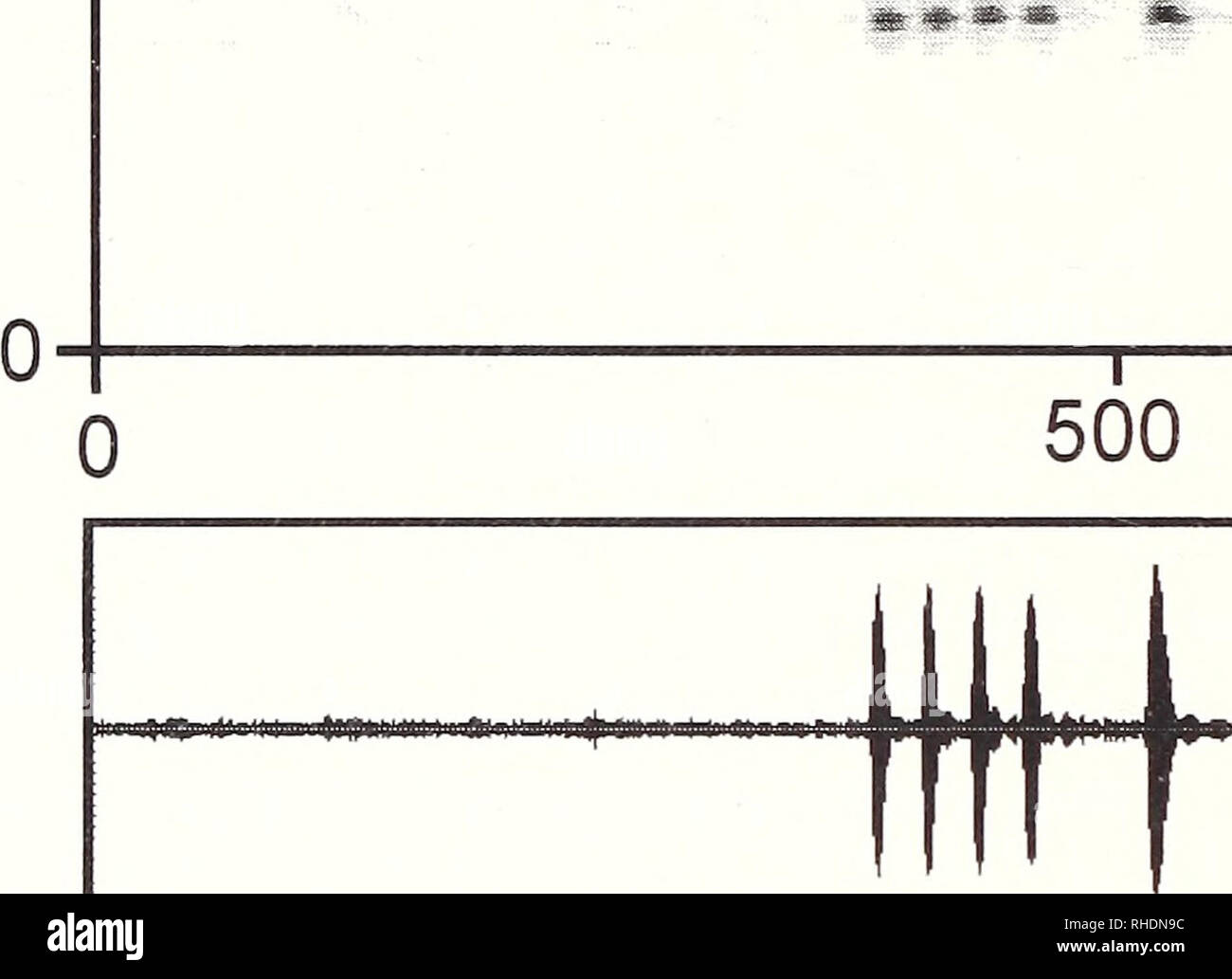 . Bonner zoologische Monographien. Zoology. 88 Frequency (kHz) 10t 5-. 1000 ms 1 0 500 1000 ms Fig.23: Audiospectrogram and oscillogram of the advertisement call of Coclvanella bejaranoi from a point north of Remates, P.N. Amboro, 2300 m a.s.l. Recording obtained on 2 January 1998. Air temperature 14.1°C. clefts and were approximately 40 mm in diameter and 10 mm in thickness. One clutch contained 21 developing larvae. Vo c a 1 i z a t i o n : Advertisement calls were recorded on 2 January 1998 noith of Remates, Parque Nacional Amboro, Provincia Florida, Depaitamento Santa Cnaz, 2300 m a.s.l. C Stock Photo
