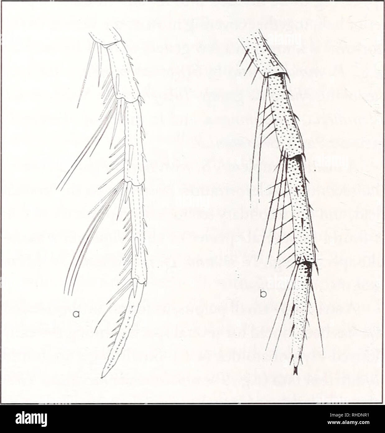 46+ Technical Drawing Synonym Background