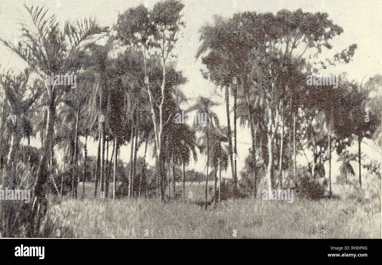 Stadt In Brasilien Mit 6 Buchstaben