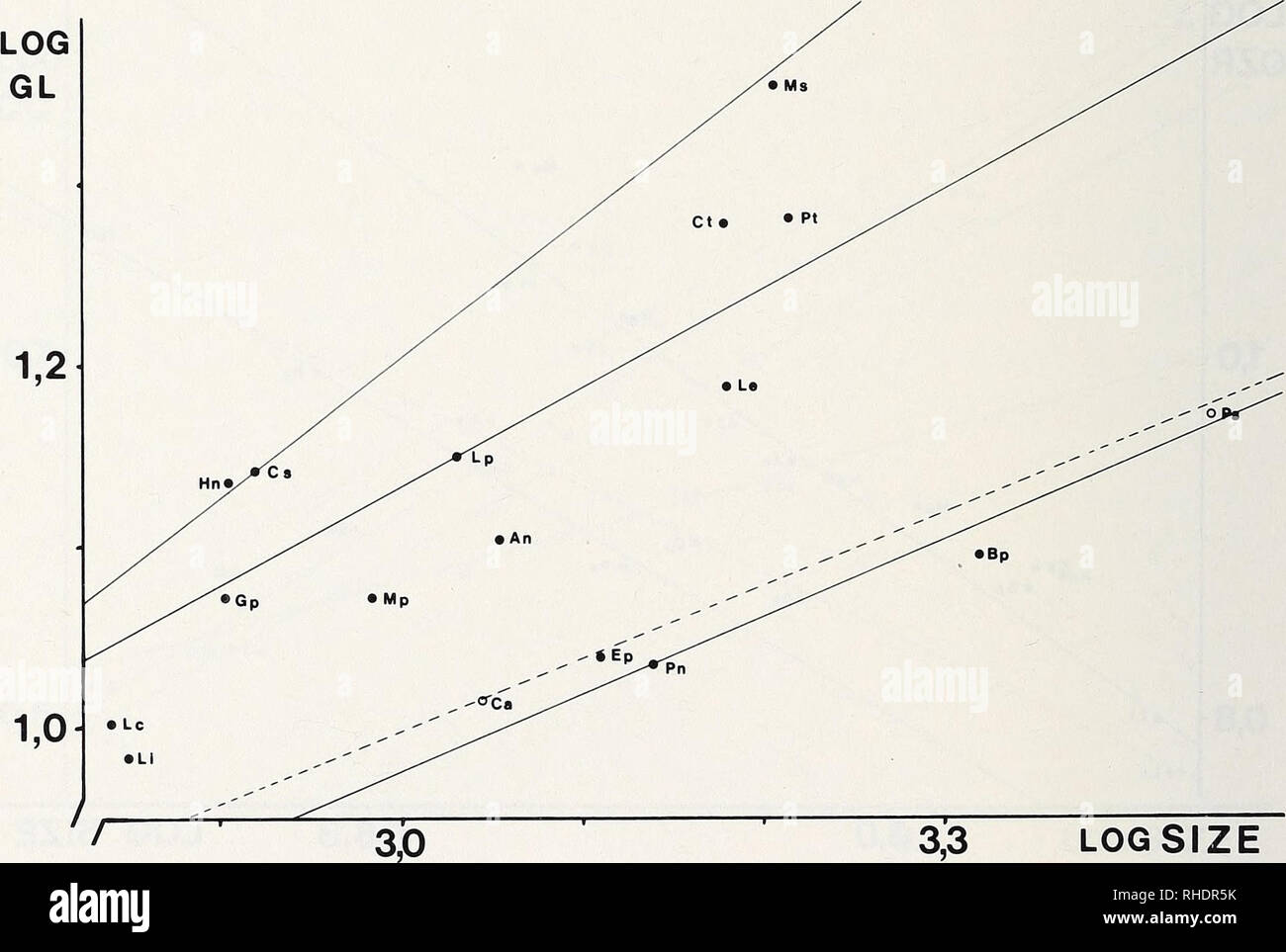 . Bonner zoologische Monographien. Zoology. 70 Table 13: AUometric proportions: length of palate to SIZE MW SIZE MW GL tan a r Lot Carollia 3.0448 1.0152 0.5367 0.8612 0.0004 Phyllostomus 3.4483 1.1725 0.3515 0.9417 0.0061 Brachyphylla 3.3195 1.0971 0.0294 Erophylla 3.1089 1.0385 0.0030 Phyllonycteris 3.1474 1.0351 0.4277 0.8212 0.0179 Lionycteris 2.8508 0.9834 -0.0462 Lonchophylla 3.0317 1.1499 0.5489 0.9453 -0.1396 Platalina 3.2137 1.2813 -0.1975 Glossophaga 2.9211 1.0724 0.7368 0.6807 -0.1068 Monophyllus 2.9833 1.0726 0.4512 0.1410 -0.0819 Lichonycteris 2.8414 1.0033 -0.0699 Leptonycteris 3 Stock Photo