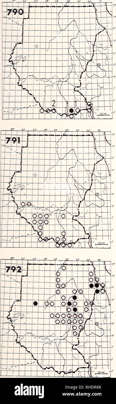 . Bonner zoologische Monographien. Zoology. 245 NECTARINIIDAE — SUNBIRDS 790 Collared Sunbird (1271) Anthreptes collaris 1) A. c. garguensis R BR 1, 4, 10, 11 common forests and secondary growth up to 2400 m 2) A. c. hypodilus R? NBR uncommon forest edges Remarks: The subspecies djamdjamensis is expected along the southern Ethiopian bor- der. 791 Violet-backed Sunbird (1274) Anthreptes longuemarei longuemarei R? BR 2 uncommon bushed woodland and forest edges 792 Eastern Pygmy Sunbird (1236) Anthreptes metallicus R? LM BR 1-6, 9 common dry acacia savanna, gardens Remarks: Distinct movements on  Stock Photo