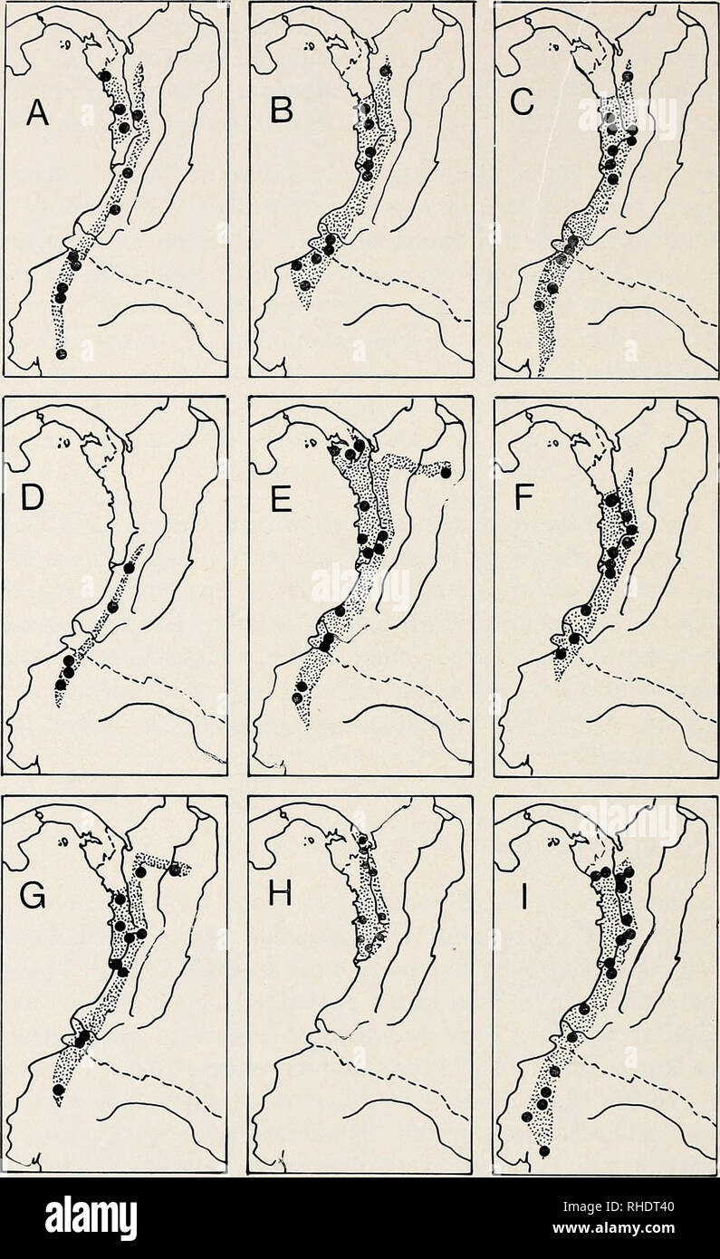 . Bonner zoologische Monographien. Zoology. 56. Fig. 21: Distribution of selected Pacific Colombian forest birds. Explanation: Range is stippled, solid circles indicate locality records. A Penelope ortoni, a guan. B Columba goodsoni, a pigeon. C Pionopsitta pulchra, a parrot. A record from El Chiral, western Ecuador, falls just south of the area shown. The Middle American representative is P. haematotis. D Neomorphus radiolosus, a ground-cuckoo. The Middle American ally N. geolfroyi salvini ranges into north- western Colombia south to the central Chocö region. E Androdon aequatorialis, a monot Stock Photo