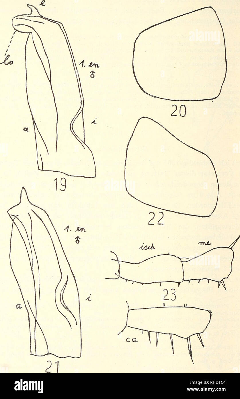 Bonn seitenansicht hires stock photography and images Alamy