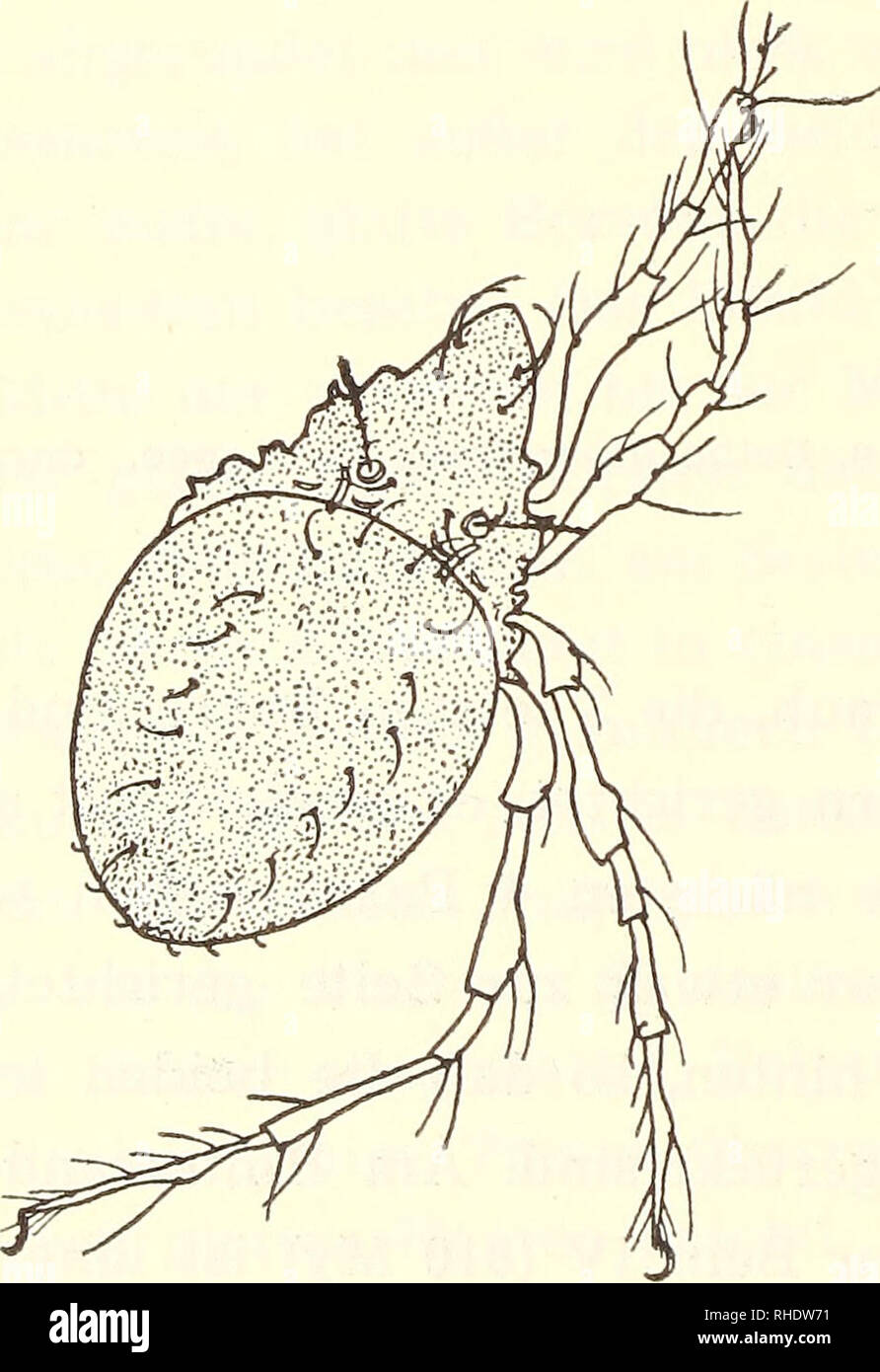 . Bonner zoologische Beiträge Herausgeber Zoologisches