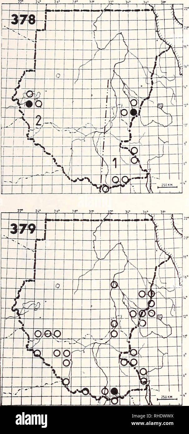 . Bonner zoologische Monographien. Zoology. 129. 2) U. m. griseogularis R BR 9, 3, 4 fairly common acacia savanna 3) U. m. pulcher R NBR fairly common arid scrub country Remarks: Recorded from Ilemi Triangle (LACM) TROGONIDAE — TROGONS 378 Narina's Trogon (570) Apaloderma nahna 1) A. n. narina R? BR 6 uncommon, local and little noticed better woodland and forests 2) A. n. brachyurum R? BR 7 uncommon, local and little noticed better woodland. Please note that these images are extracted from scanned page images that may have been digitally enhanced for readability - coloration and appearance of  Stock Photo