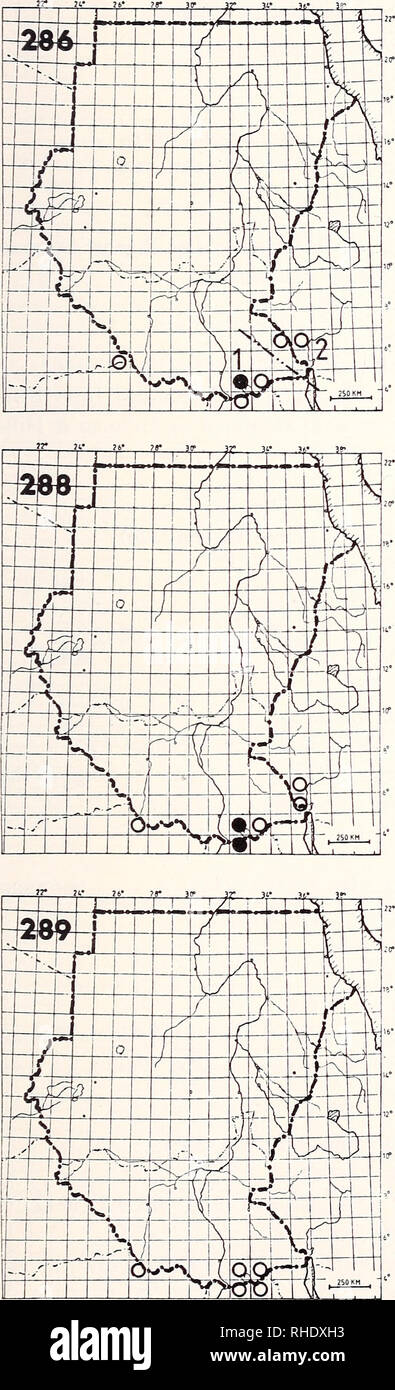 . Bonner zoologische Monographien. Zoology. 101. 285 Spotted Sandgrouse (368) Pterocles senegallus R LM PM? BR 2-4 seasonally common desert with sparse vegetation Remarks: More common during the dry season. It comes to drink in the morning COLUMBIDAE — PIGEONS, DOVES 286 Lemon Dove (398) Aplopelia larvata 1) A. I. larvata R BR 4, 11 common highland forest and forest edges uncommon at lower altitude 2) A. I. bronzina R NBR uncommon gallery forest, forests 287 White-naped Pigeon (381) no map Columba albinucha R (3-10) NBR rare lowland forest Remarks: Only recorded from Bengengai 4/27 by Hillman  Stock Photo