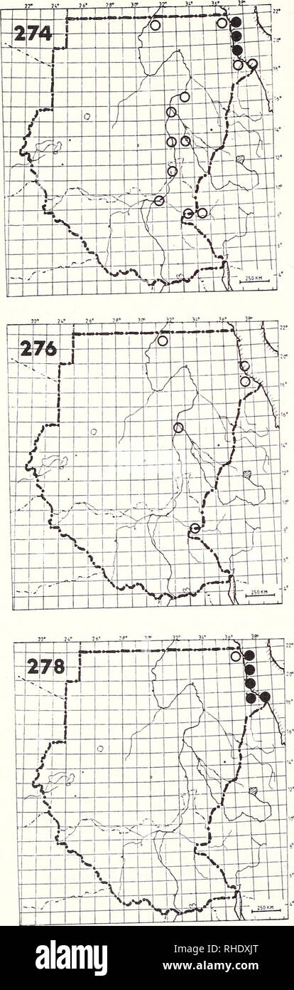 . Bonner zoologische Monographien. Zoology. 98. (Roseate Tern 352) no map Sterna dougallii dougallii There are no definite records for Sudan even though it is recorded from Egypt and Ethiopia. 275 Sooty Tern (358) no map Sterna fuscata (fuscata) AM? NBR rare, vagrant httoral habitats Remarks: One record from Mohamed Qol 20/37 in August 1982 (Nikolaus 1984 a) 276 Common Tern (351) Sterna hirundo PM (8-10, 4-5) A S uncommon; rare inland littoral habitats, large rivers 277 Arctic Tern no map Sterna paradisaea PM (5) S vagrant? littoral habitats, large rivers Remarks: An adult bird was ringed at K Stock Photo