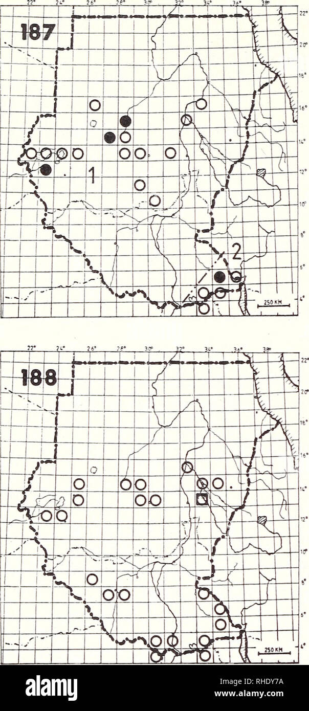 . Bonner zoologische Monographien. Zoology. 70 V â &gt;r. acacia short grassland Remarks: Numbers have decreased in the northern part of its distribution 185 Black-bellied Bustard (258) Eupodotis melanogaster R LM NBR fairly common open woodland and bushed tall grassland Remarks: Some birds migrate north during the rains 186 Buff-crested Bustard (257) Eupodotis rufichsta 1) E. r. savilei R LM BR 7, 8 fairly common to uncommon bush and light woodland 2) E. r. gindiana R LM NBR uncommon dry thornbush country 187 White-bellied (Senegal) Bustard (256) Eupodotis senegalensis 1) E. s. senegalensis R Stock Photo