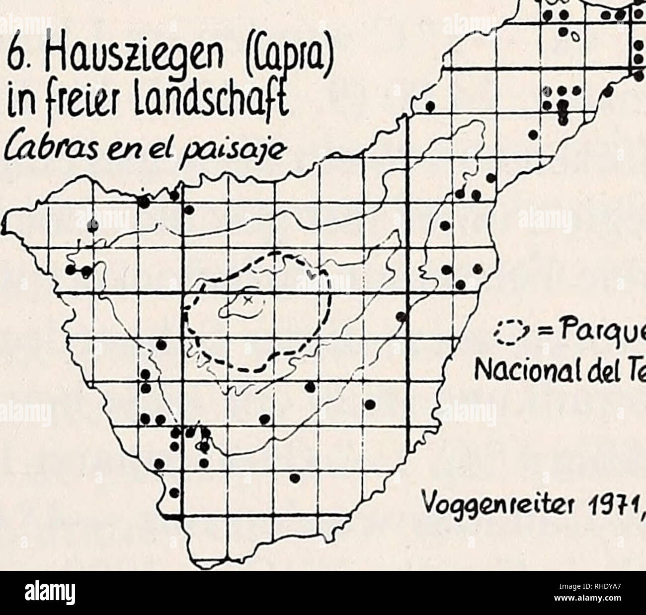 . Bonner zoologische Beiträge : Herausgeber: Zoologisches Forschungsinstitut und Museum Alexander Koenig, Bonn. Biology; Zoology. 6. Hausziegen (Capia) in freier Landschaft (abras zn eL paisaje H81 *= Le.bendeV&amp;e Jteobachtungen: BarqumDiez=Bq Hutterer =H Klemmer = K Thannzt =T Voggeweiter^v ^Beob.-Jahr 4911,4968 &lt; 7 Tloristische Daten aus.- ^^ITP^ E.ÍARQUÍN 436tj Barquín bn'efl. Mitt -ISSS,. =Parque Nacional del íeide Voglen rciter 13}1/}S ^5 -S2 6 §7« 8 9 .Jo ^ BOTTLER ^ 11 ÍLUDWIG ^ 13 Santos Guerra % ^RNANDEZ GAL Í. ABCDEFGH. Please note that these images are extracted from scanned p Stock Photo