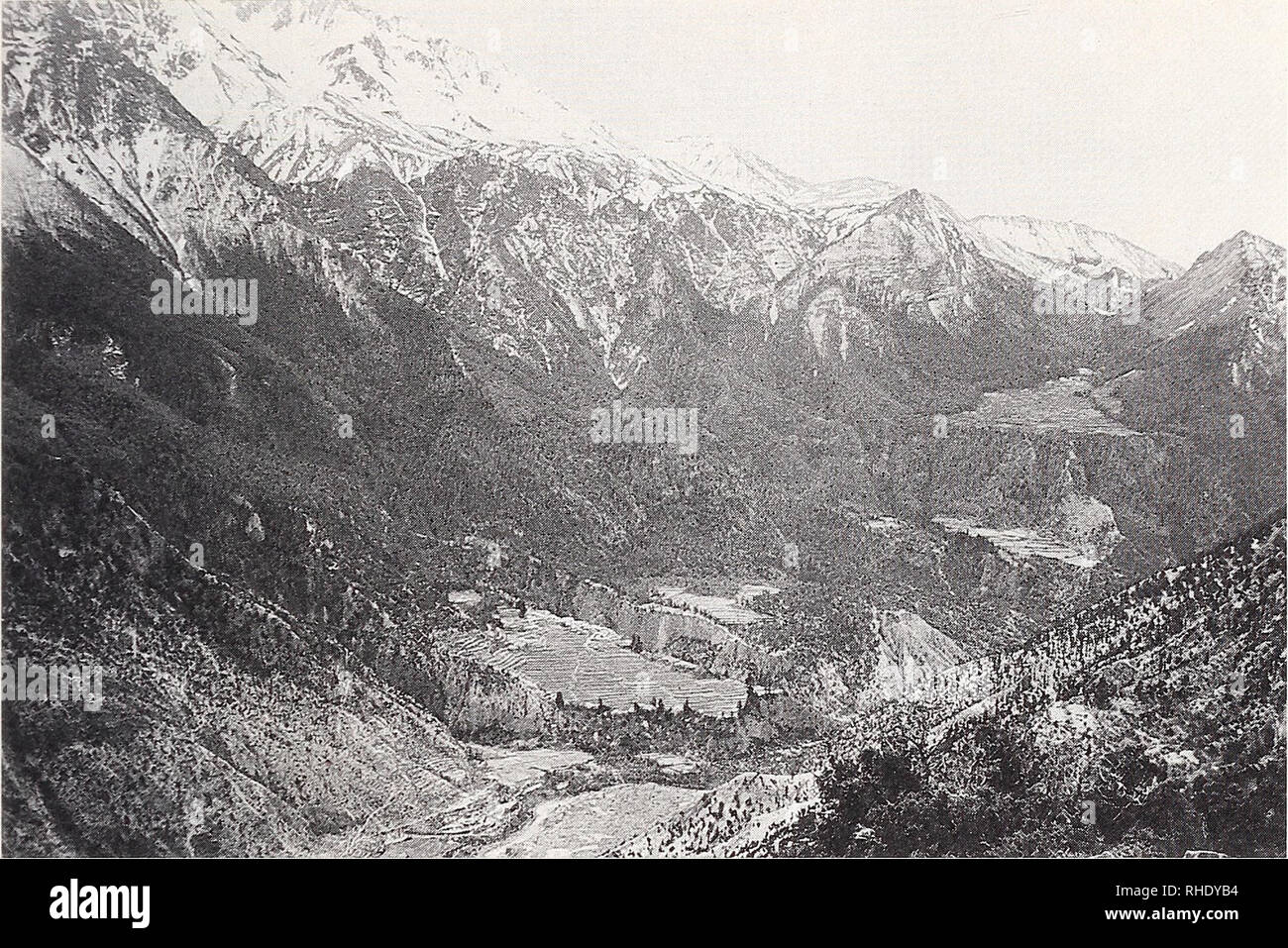 . Bonner zoologische Monographien. Zoology. 31. Fig.30: Inner Himalayas. Upper Kali Gandaki Valley, looking SE from above Marpha, mesophilic co- niferous forests (Pinus wallichiana, Abies spectabilis, locally Picea smithiana and Jimiperus; Betula utilis near the treeline). Deforested triangle near the right margin is the forest clearing Thaksang abo- ve Tukche, cf. Fig.31; (3150 m at lower edge), Mustang Distr., Ill 1974 J. Martens. cipitation because of their protected position within the mountain chain. On the shaded slo- pes and in gorges grow Abies and Picea, trees of moderately wet region Stock Photo