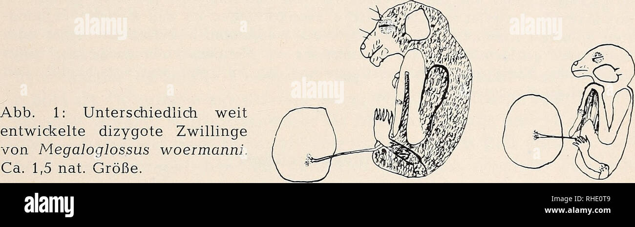 Alex Ist Nicht Im Stande Zu Glauben Was Sie Jetzt Gesehen Hat Alex Ist Nicht Im Stande Zu Glauben Was Sie Jetzt Gesehen Hat