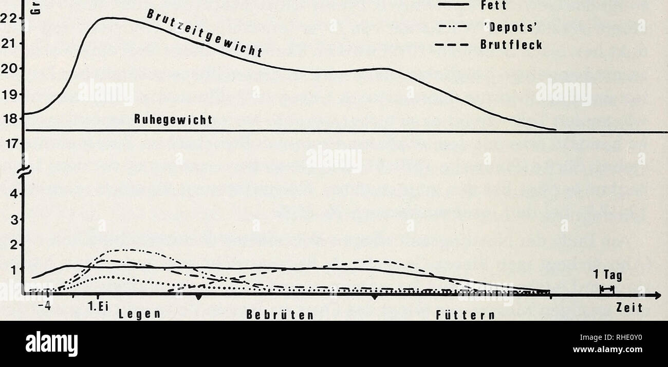 Get Von tag zu tag For iPhone