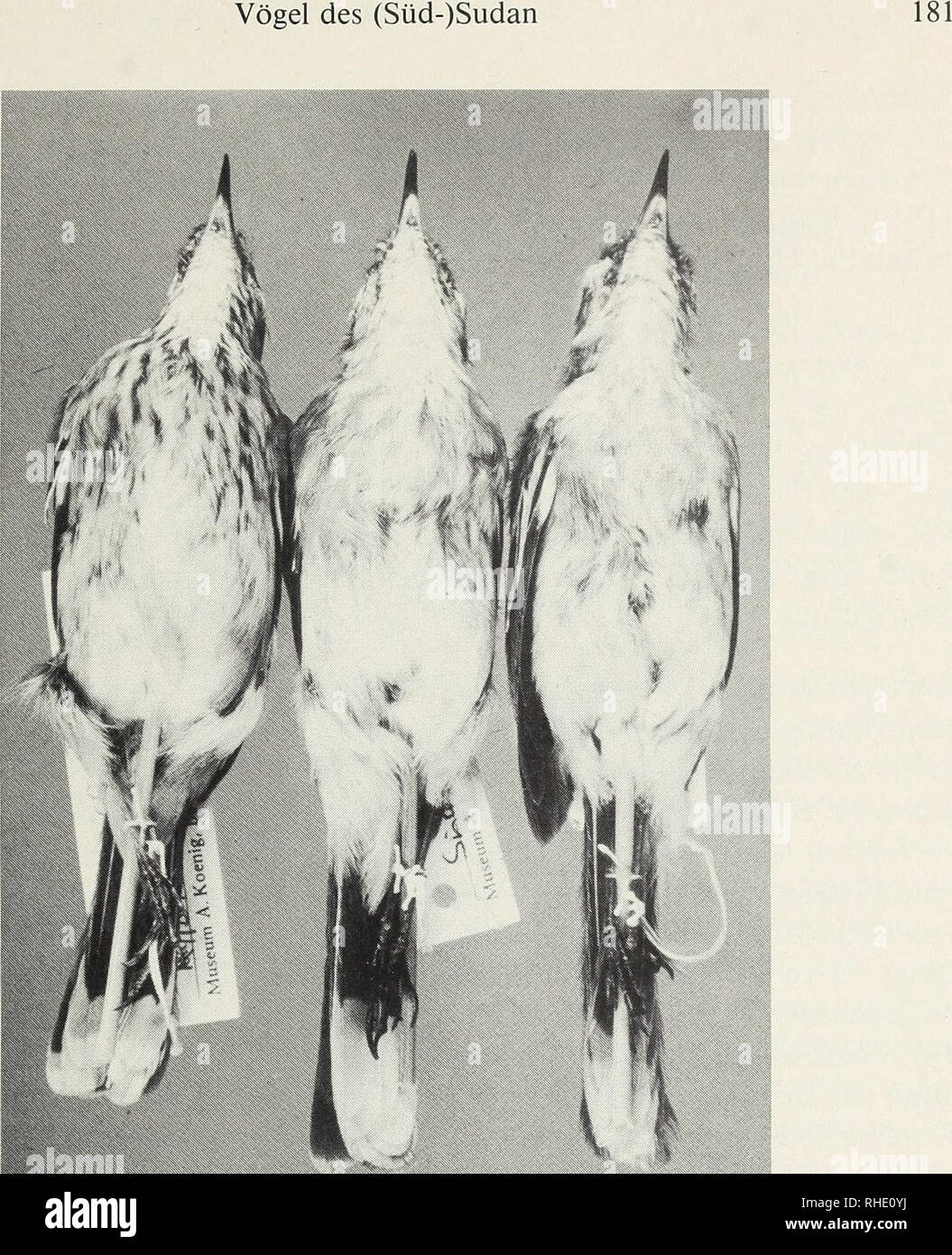 . Bonner zoologische Beiträge Herausgeber Zoologisches