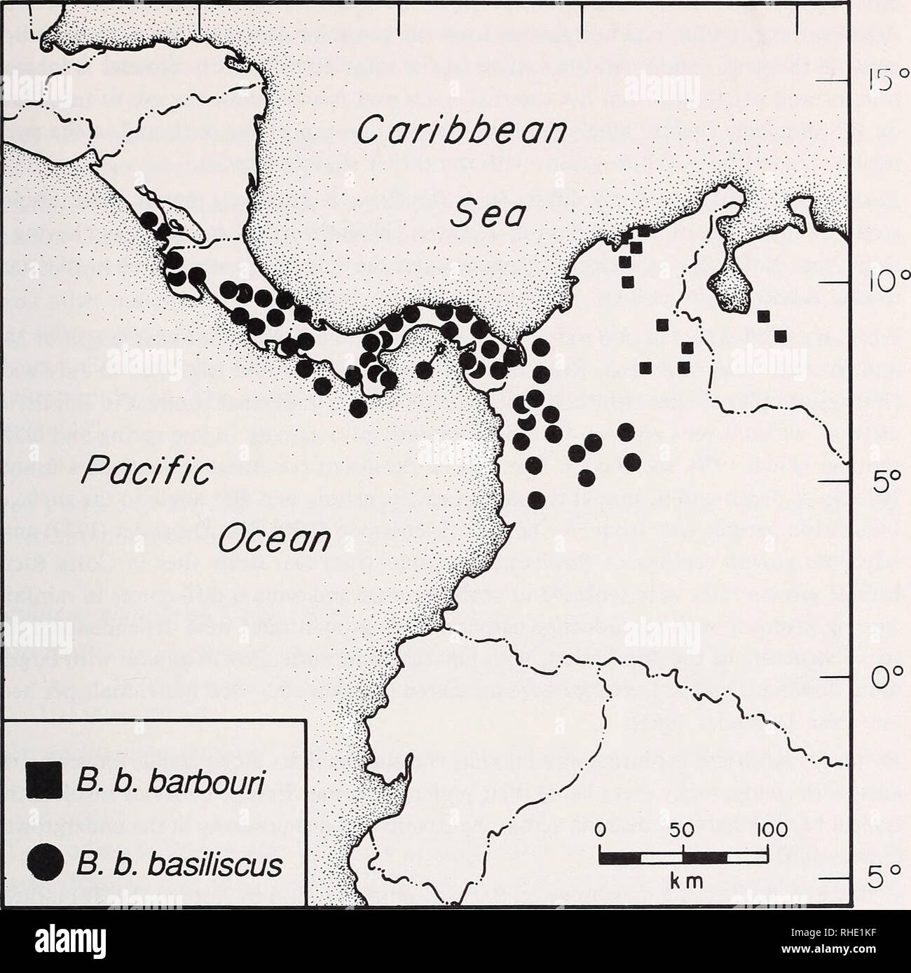 . Bonner zoologische Monographien. Zoology. 127 85° 80° 75° 70°. Fig. 47: Distribution of Basiliscus b. basiliscus and B. b. barbouri. Symbols represent localities of examined specimens. being shorter than the posterior ones. The greatest height is approximately the same size as the body. Seventeen or eighteen neural spines support the dorsal crest. The cau- dal crest is supported by 23 neural spines and originates in the sacral region just poste- rior to the dorsal crest. The caudal crest is short at first and becomes longer towards the middle of the tail to become shorter again. The two cres Stock Photo