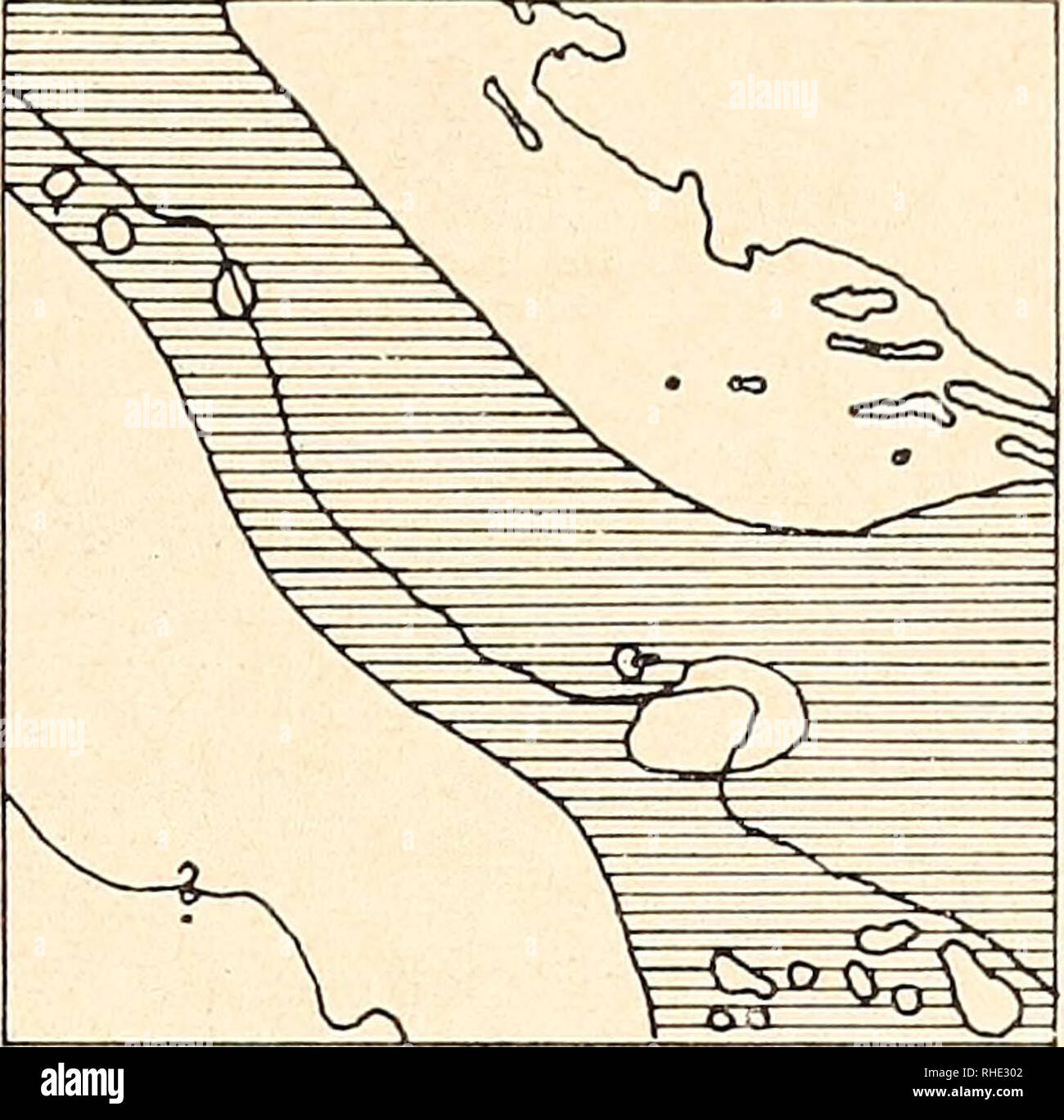 . Bonner zoologische Beiträge : Herausgeber: Zoologisches Forschungsinstitut und Museum Alexander Koenig, Bonn. Biology; Zoology. Heft 3/4 16/1965 Transadriatische Faunen- und Florenelemente 175 4//ur/am (rezent) D/7uy/'um¡ / — 4 Gunz, ttt'ncte/, ßr'fi, h/t/rm^ s Donacrersze/ten 7 oberes m/Weres. Jm jüngeren P/iozan br/cht G/brct/tor- Straße e/'n. 4dr/cr re/cht tt'ef /ns Po- ffecien und erstreckt s/ch 6/'s käste Ocrtmcrtrerrs. k'e/ne Londrer6/ndung ztvt'scAen Jta//'en oner Oo/motten r'/rt ßcrume der südt. ¿tdrro. Af. 6ar- yano rom ¿/per?n/n, ron Südapu//&amp;n erner ron SO-Europa /Sot/ert- P/í Stock Photo