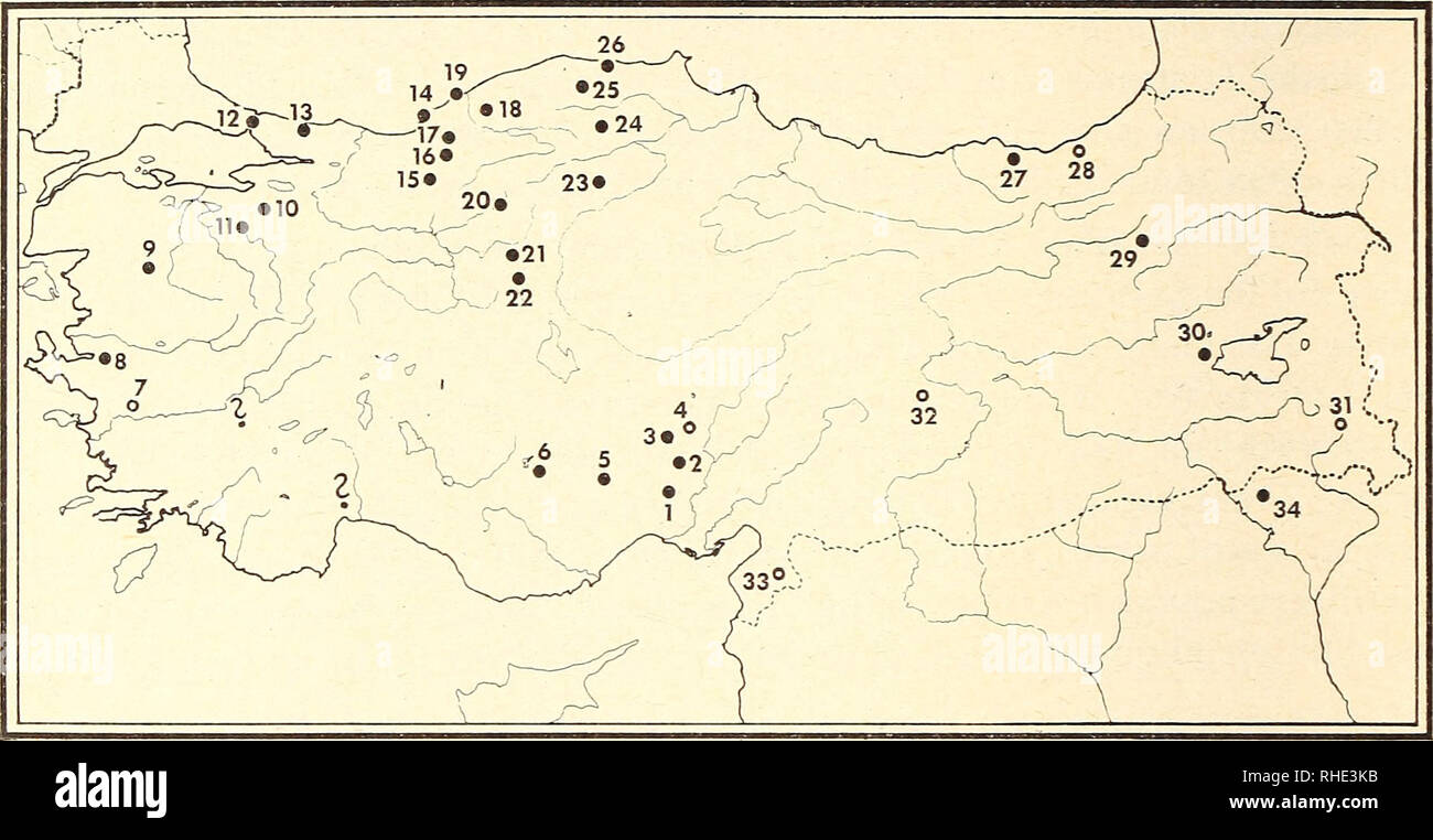 . Bonner zoologische Beiträge : Herausgeber: Zoologisches Forschungsinstitut und Museum Alexander Koenig, Bonn. Biology; Zoology. 54 H. Kumerloeve Bonn. zool. Beitr.. Abb. 7. Zur Verbreitung des Ortolans, Emberiza hortulana 1 Gülek Kale (oberhalb Kilik. Pforte) 2 Pozanti-Bürücek 3 Solakh 4 Aladag 5 Eregli 6 Kara Dag 7 Aydm 8 Raum Izmir 9 Savastepe 10 Uludag (Bithynischer Olymp) 11 Sogukpmar 12 Bosporusgebiet 13 Sile 14 Zonguldak 15 Abant Gölü-Bolu 16 Devrek 17 Beycuma 18 Caycuma 19 Qatalagzi 20 Kizilcahamam 21 Ankara 22 Beynam 23 Qankiri 24 Kastamonu 25 Küre 26 Inebolu 27 Raum Trabzon-Coruh bz Stock Photo