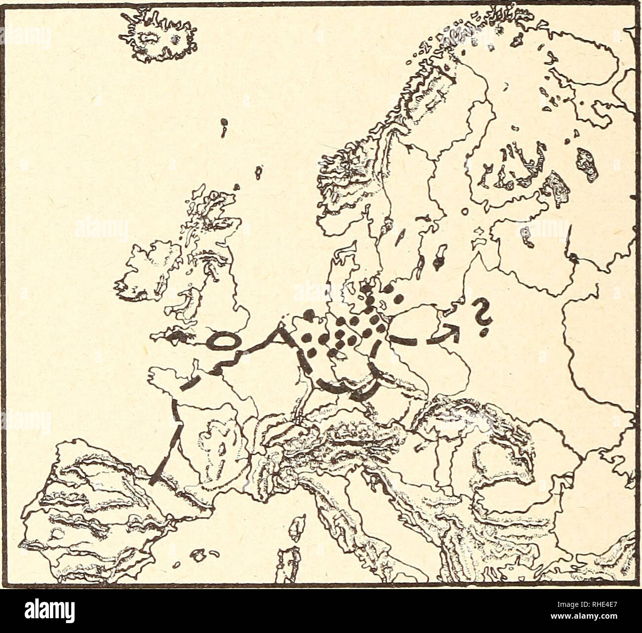 . Bonner zoologische Beiträge Herausgeber Zoologisches