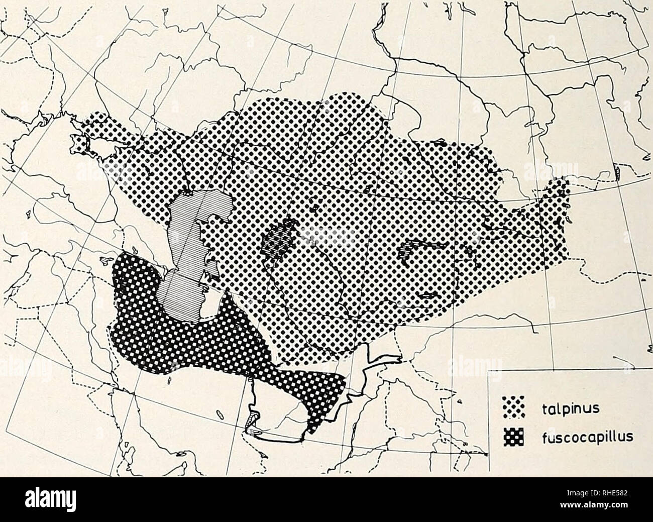 10 Vor 12 High Resolution Stock Photography and Images - Alamy