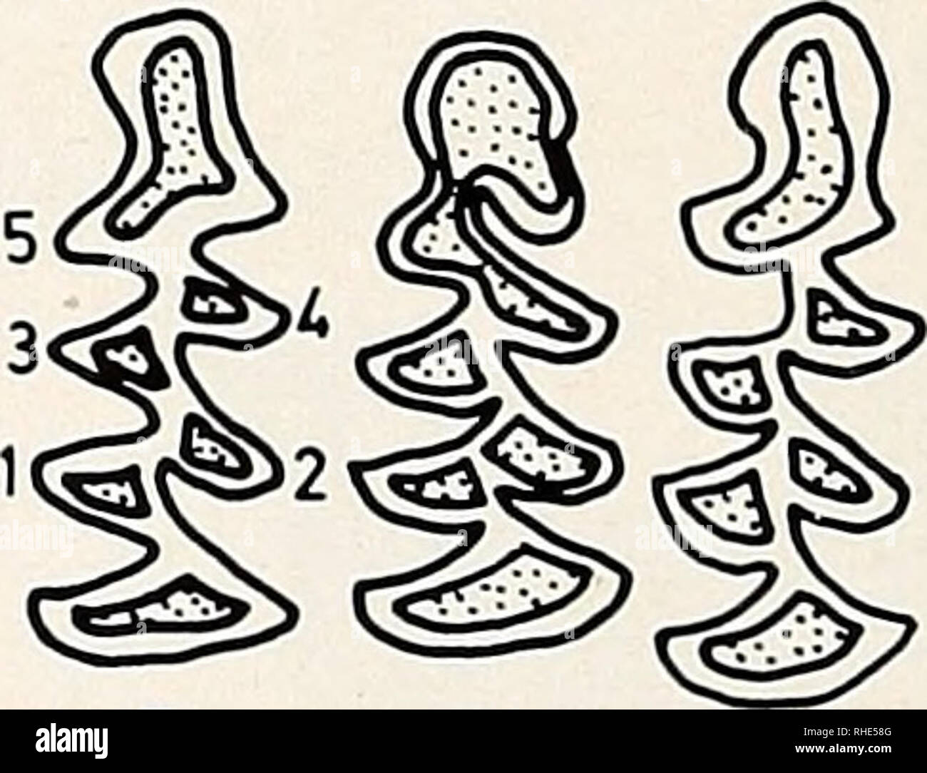 M Orientierung High Resolution Stock Photography and Images - Alamy