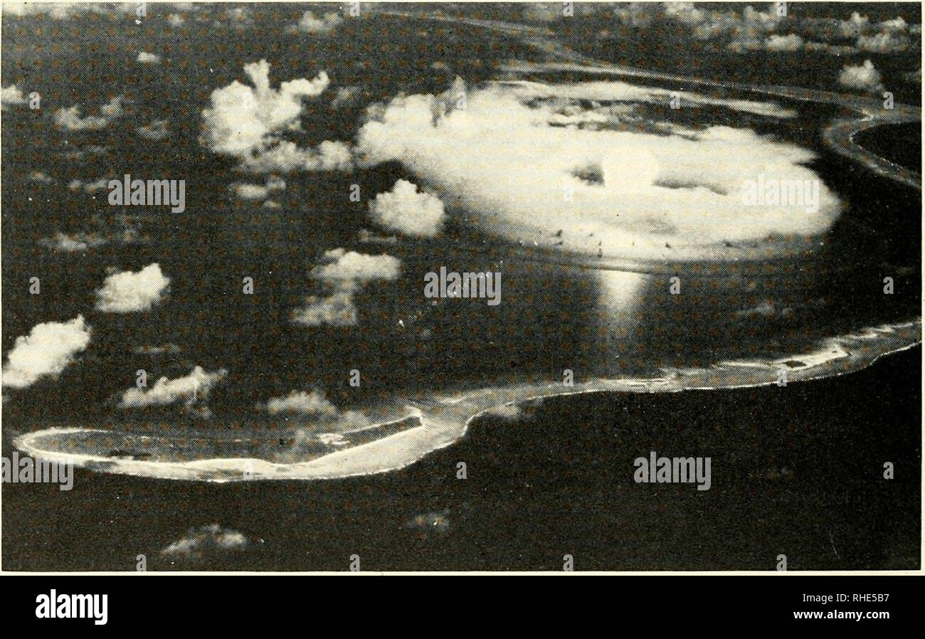 Bombs at Bikini; the official report of Operation Crossroads. Atomic bomb.  UPPER. Test A, the explosion in air; 9:00 a.m. on July 1, 1946. The  hemispherical condensation cloud, lit by the