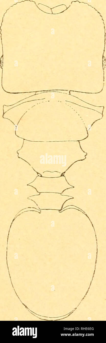 La Fossetta High Resolution Stock Photography And Images Alamy