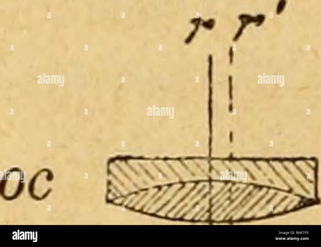 . Bollettino della SocietÃ entomologica italiana. Entomology. â 86 â. e m ?^^s^^ Fig. 1. quale fosse possibile ottenere rapidamente e senza calcolo delle misure precise, sovrapponendo la scala micrometrica non all'oggetto, ma alla sua immagine di grandezza eguale all'oggetto stesso, e veduta attraverso una lente d'ingrandimento. In altri termini, ho fatto costruire una specie di microscopio, con oculare micrometrico fÃ¬sso, il cui reticolo si trovasse ad una distanza dall'oggettivo doppia della lunghezza focale di esso, e ricevesse quindi la proiezione dell'immagine, non ingran- dita, dell'ogg Stock Photo