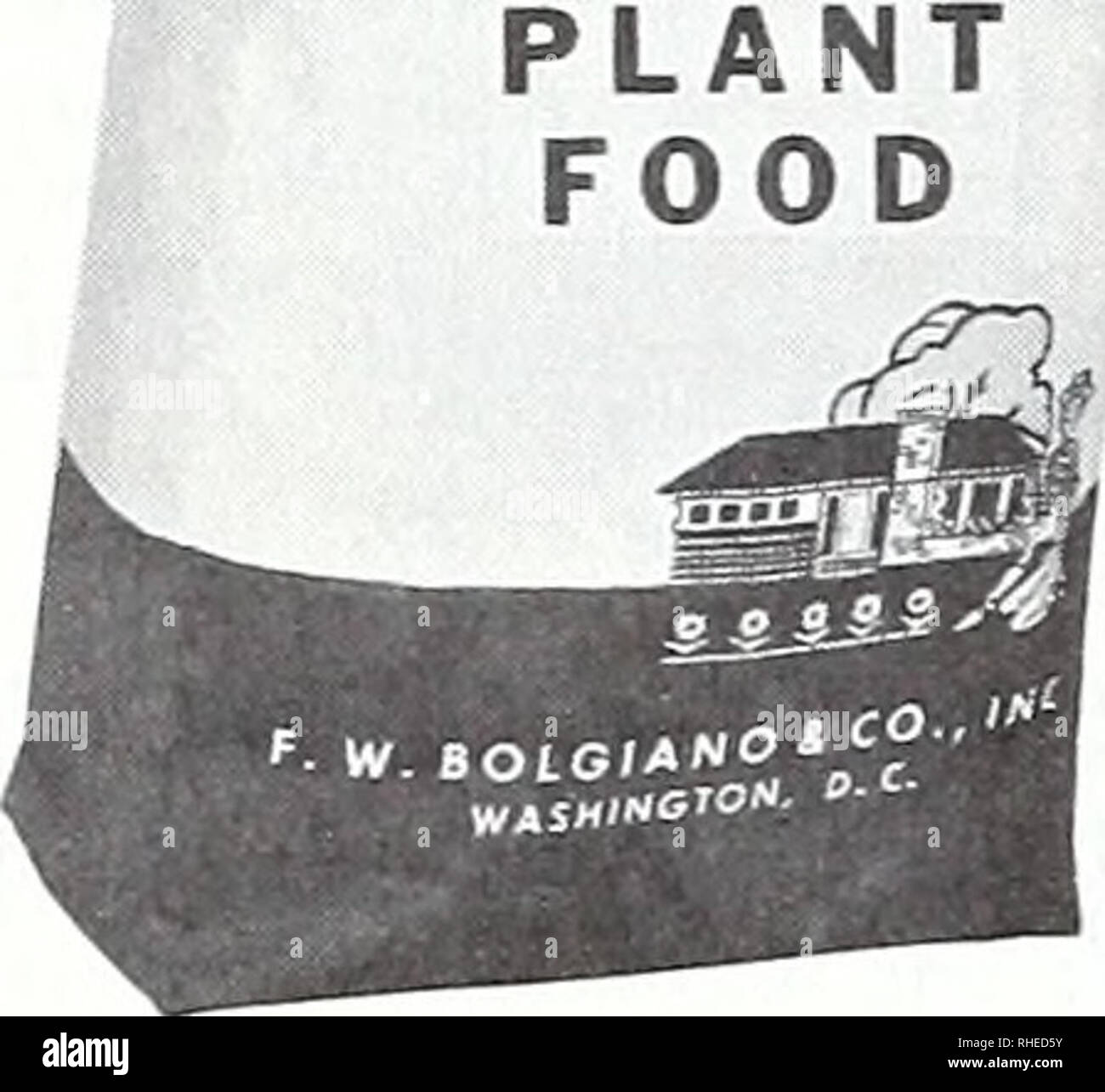 Bolgiano S Spring 1969 Nurseries Horticulture Catalogs Bulbs