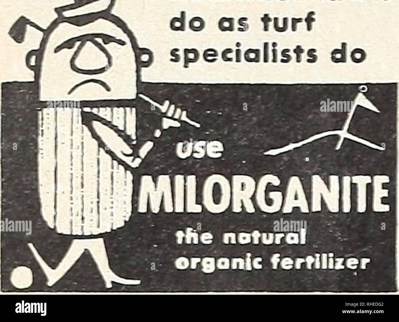 . Bolgiano's spring 1965 catalog. Nurseries (Horticulture) Catalogs; Bulbs (Plants) Catalogs; Seeds Catalogs; Vegetables Catalogs; Gardening Equipment and supplies Catalogs. Treat Your Soil Well—// deserves Consideration f°Se a greener healthier lawn do as turf specialists do. )RCHi: LONG LASTING MILORGANITE revitalizes soil—promotes healthy plant growth. For best results apply Spring, Sum- mer, and Fall. EASY TO APPLY MILORGANITE is clean and free from dust . . always granular . . does not cake or deteriorate in storage. Safe! DOES NOT BURN MILORGANITE, the ideal fertilizer, does not re- quir Stock Photo