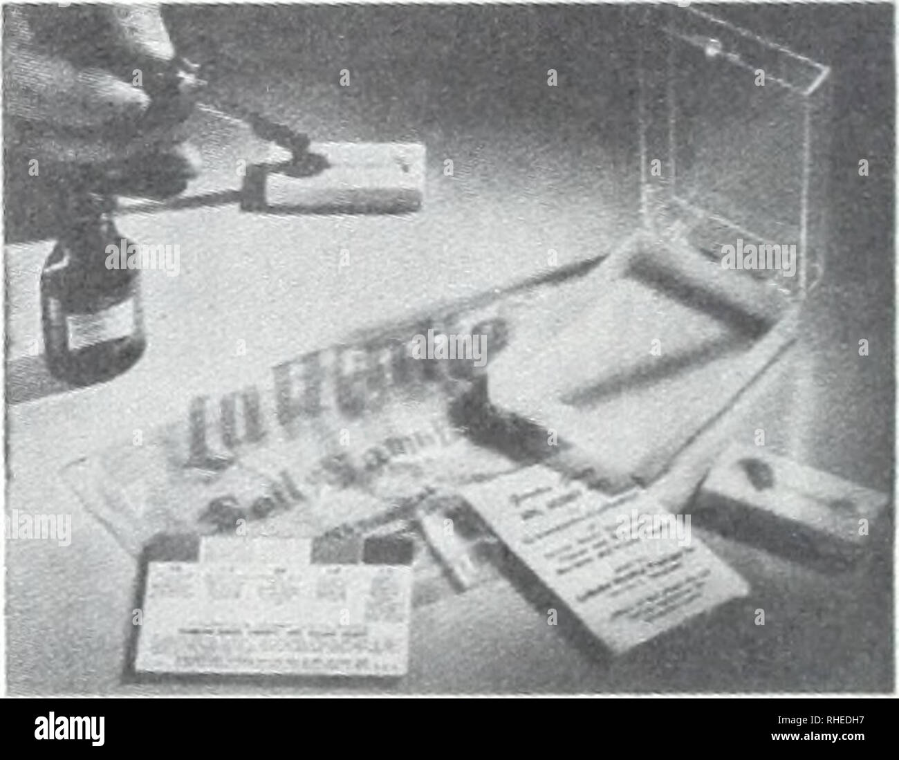 Japanese codling hi-res stock photography and images - Alamy