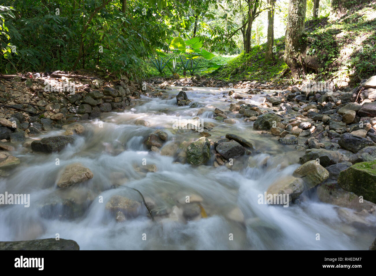 Beautiful water in jungle near Palenque, Chiapas, Mexico Stock Photo