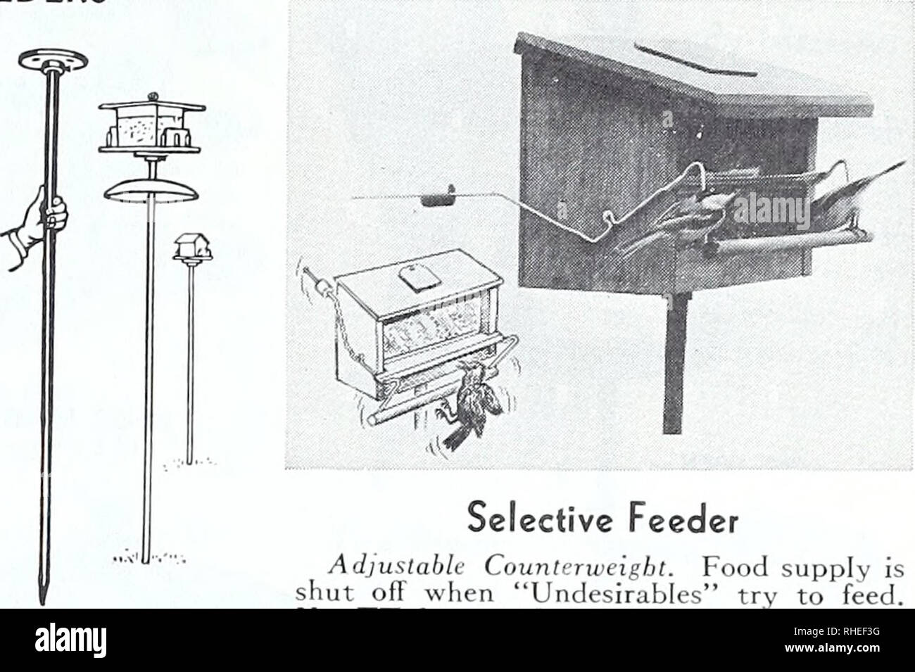 Automatic Cat Feeder Stock Photos Automatic Cat Feeder Stock